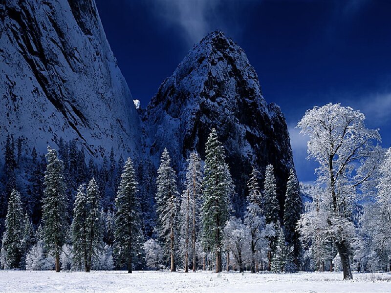 Snow-covered Trees and Mountains — Blue, Dramatic