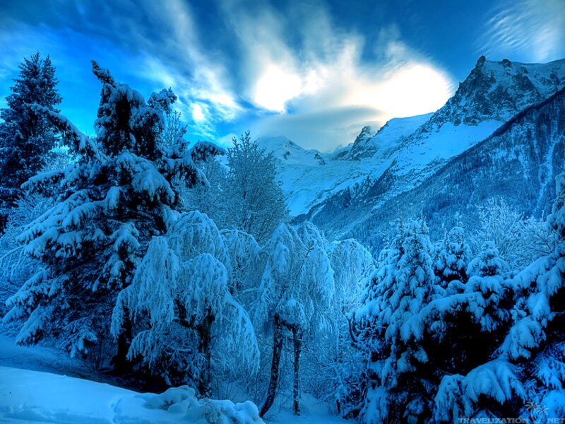 Snow-covered Trees and Mountains — Blue, Dramatic, Winter