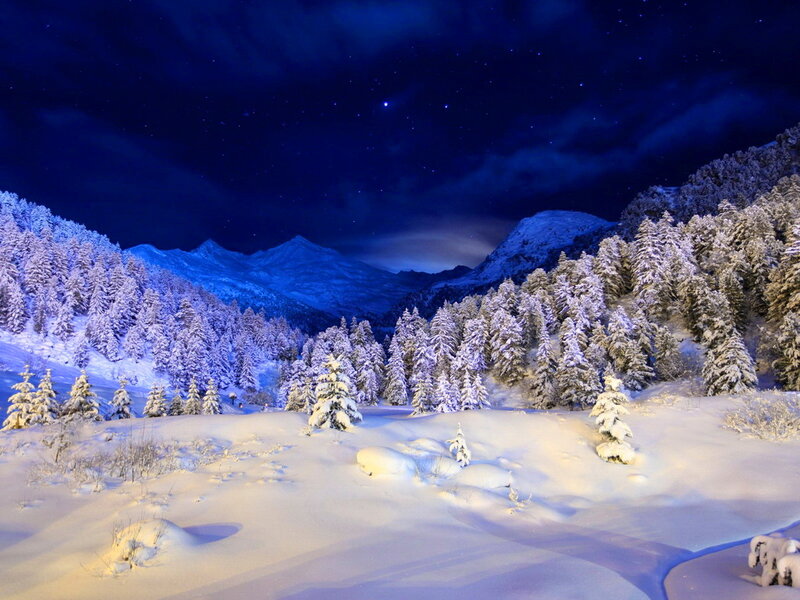 Snow-covered Trees and Mountains — Blue, Serene, Night