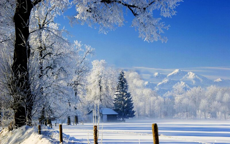 Snow-covered Trees and Mountains — Blue, Serene, Winter, Photograph, House