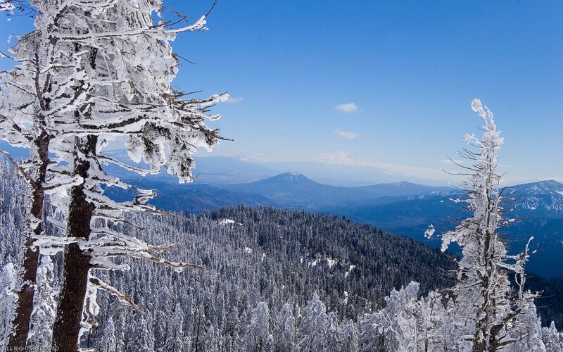 Snow-covered Trees and Mountains — Blue, Serene, Winter, Photograph, Sky, Snow