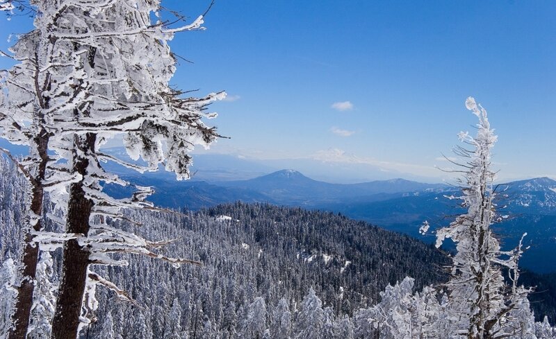 Snow-covered Trees and Mountains — Blue, Serene, Winter