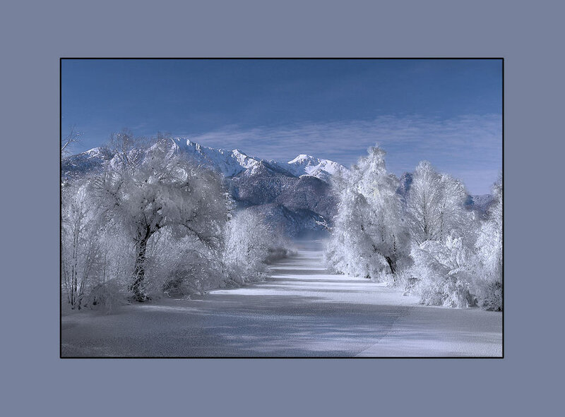 Snow-covered Trees and Mountains