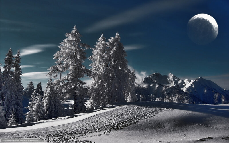 Snow-covered Trees and Mountains — White, Dramatic, Night