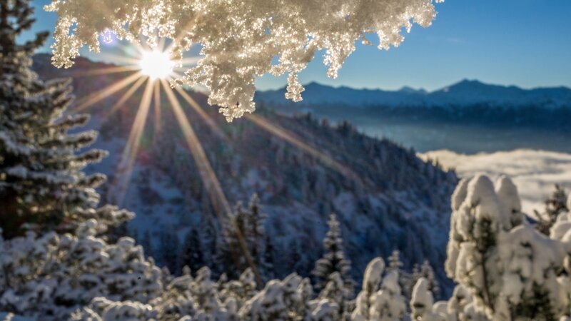 Snow-covered Trees and Mountains — White, Serene, Morning