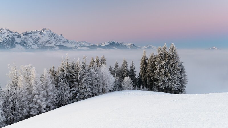Snow-covered Trees and Mountains — White, Serene, Winter, Photograph, Fog