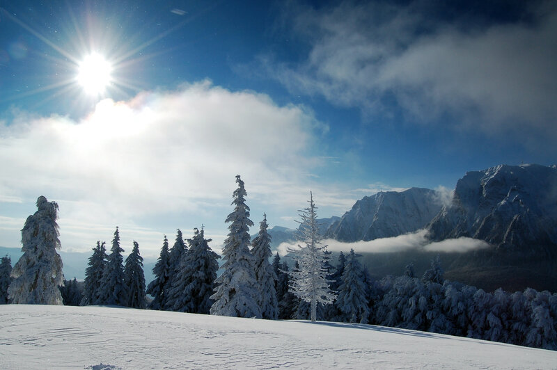 Snow-covered Trees and Mountains — White, Serene, Winter, Photograph, Sun