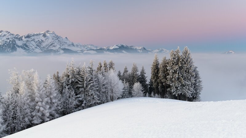Snow-covered Trees and Mountains — White, Serene, Winter, Photograph
