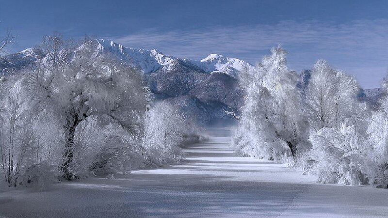 Snow-covered Trees and Mountains — White, Serene, Winter