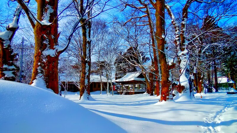 Snow-covered Trees and Pavilion