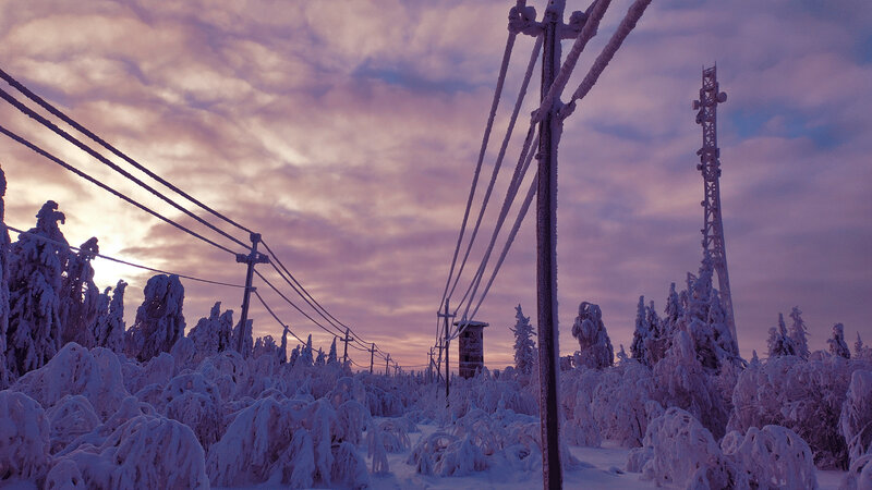 Snow-covered Trees and Power Lines