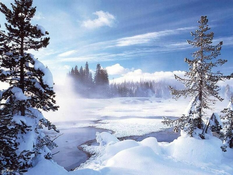 Snow-covered Trees and River — White, Serene