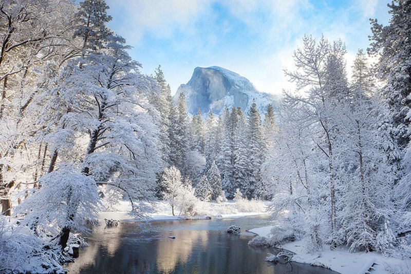 Snow-covered Trees and River — White, Serene, Winter