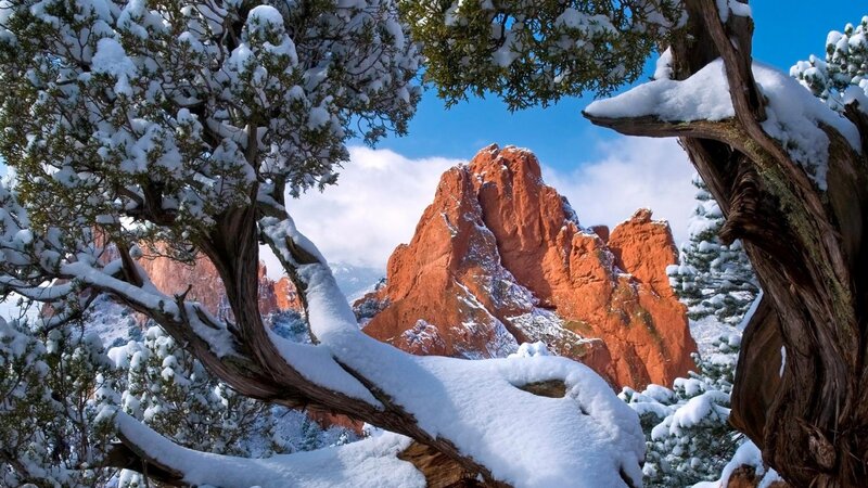 Snow-covered Trees and Rock
