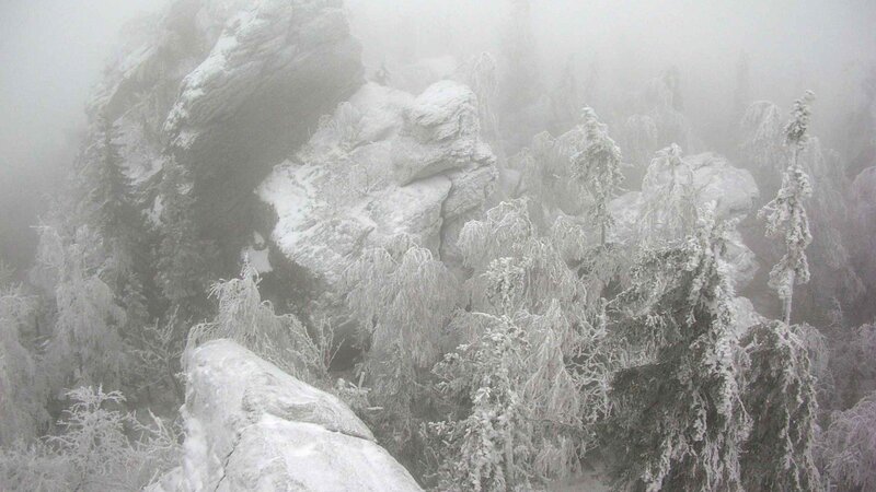 Snow-covered Trees and Rocks