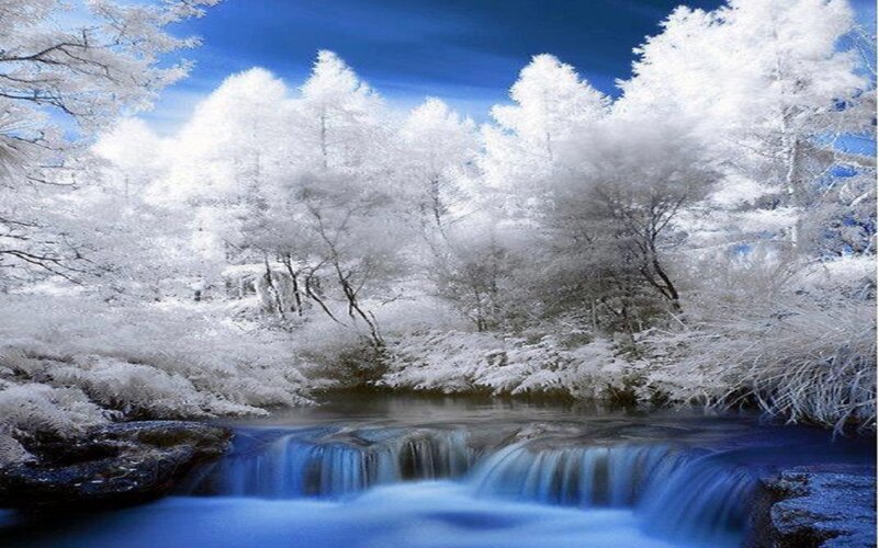 Snow-covered Trees and Stream — White