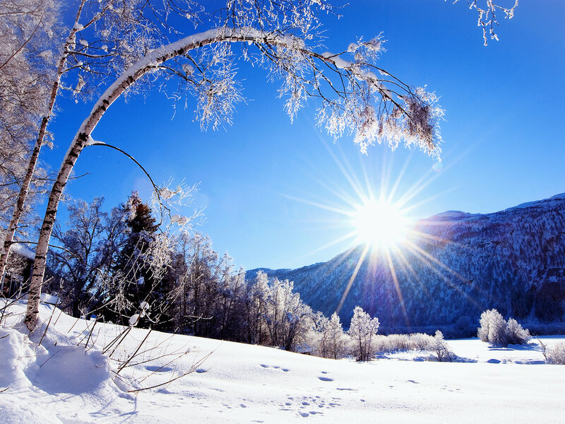 Snow-covered Trees and Sun