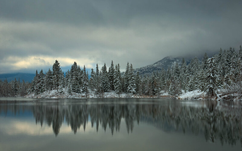 Snow-covered Trees at Lake
