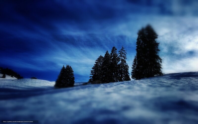Snow-covered Trees at Night — Blue, Dramatic