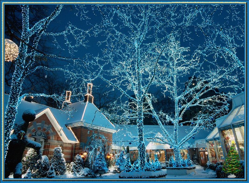 Snow-covered Trees at Night — Blue, Festive