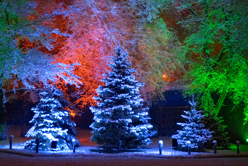 Snow-covered Trees at Night — Blue, Festive, Winter