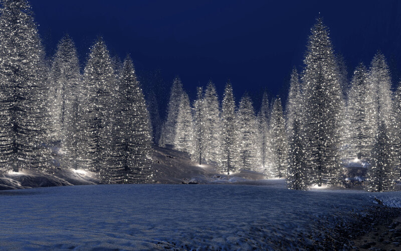 Snow-covered Trees at Night — Blue, Serene, 3d Render, Snow