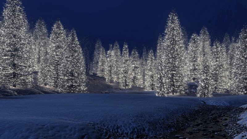 Snow-covered Trees at Night — Blue, Serene, 3d Render