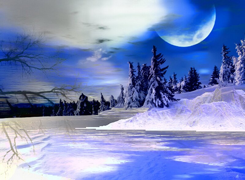 Snow-covered Trees at Night — Blue, Serene, Digital Art, Moon