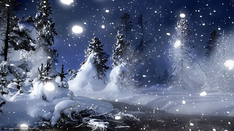 Snow-covered Trees at Night — Blue, Serene, Digital Art, Snow, Moonlight