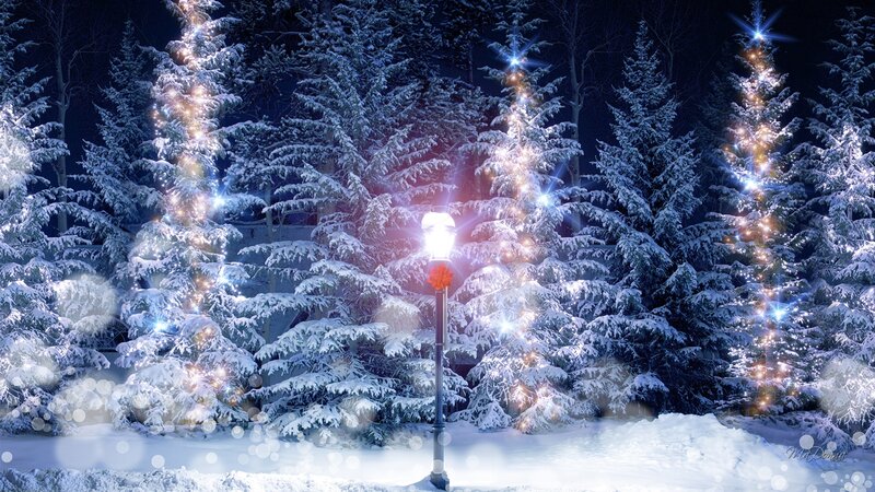 Snow-covered Trees at Night — Blue, Serene, Digital Art, Street Lamp