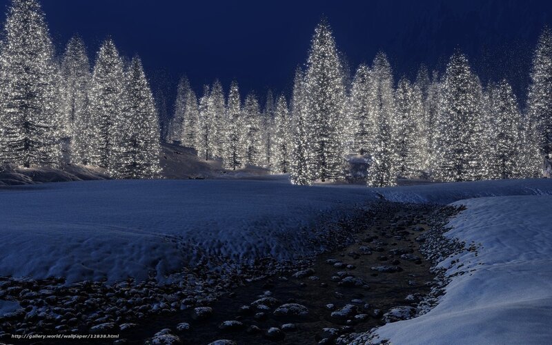 Snow-covered Trees at Night — Blue, Serene, Digital Art