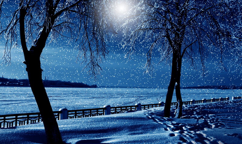 Snow-covered Trees at Night — Blue, Serene, Photograph, Frozen Lake