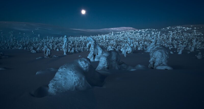 Snow-covered Trees at Night — Blue, Serene, Photograph, Moon, Snow, Hills