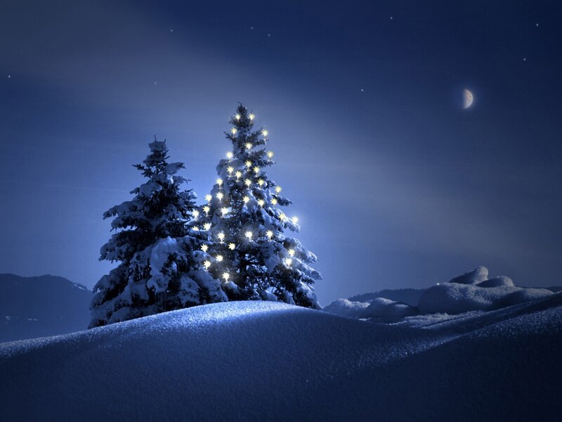 Snow-covered Trees at Night — Blue, Serene, Photograph, Moon, Stars, Snow