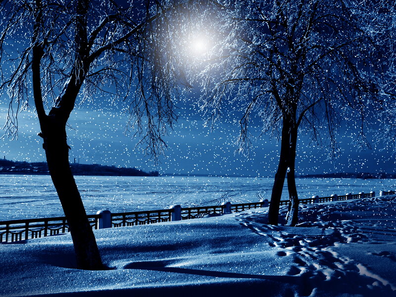 Snow-covered Trees at Night — Blue, Serene, Photograph, River
