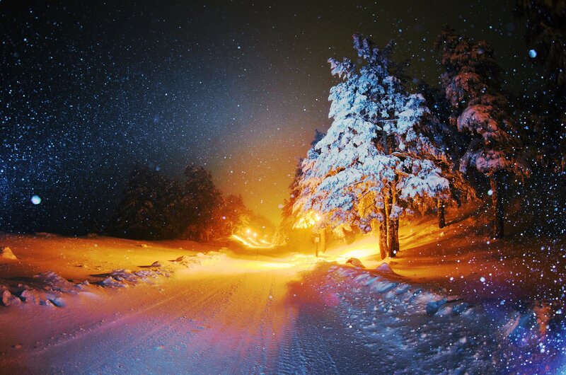 Snow-covered Trees at Night — Blue, Serene, Photograph, Snow, Road