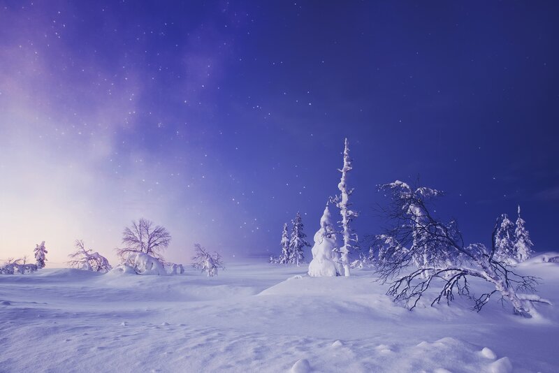 Snow-covered Trees at Night — Blue, Serene, Photograph, Snow, Stars