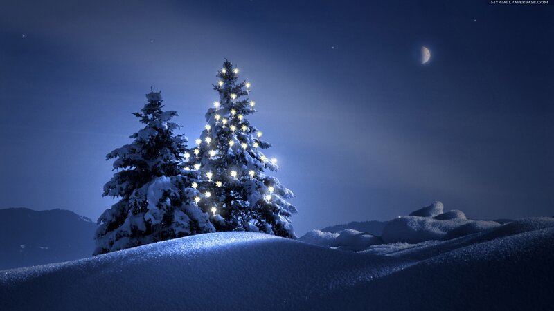 Snow-covered Trees at Night — Blue, Serene