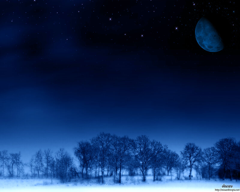 Snow-covered Trees at Night — Blue