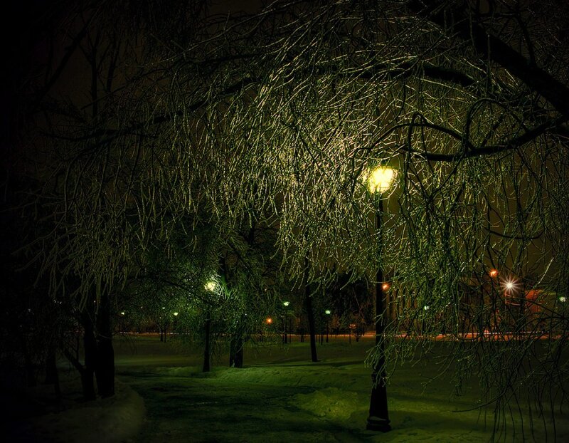 Snow-covered Trees at Night — Green