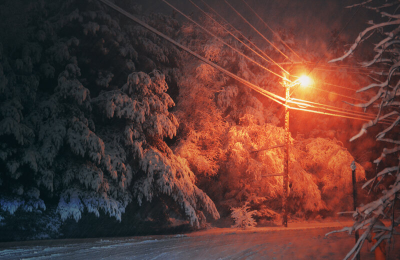 Snow-covered Trees at Night — Orange, Dramatic