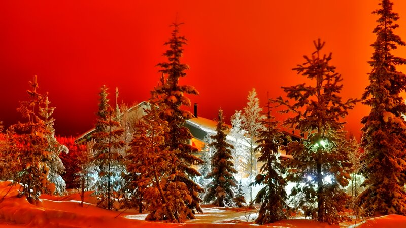 Snow-covered Trees at Night — Red, Dramatic