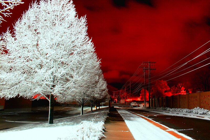 Snow-covered Trees at Night — Red