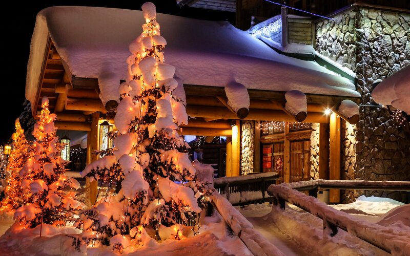 Snow-covered Trees at Night — White, Cozy, Photograph