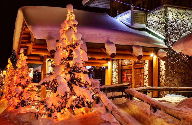 Snow-covered Trees at Night — White, Cozy