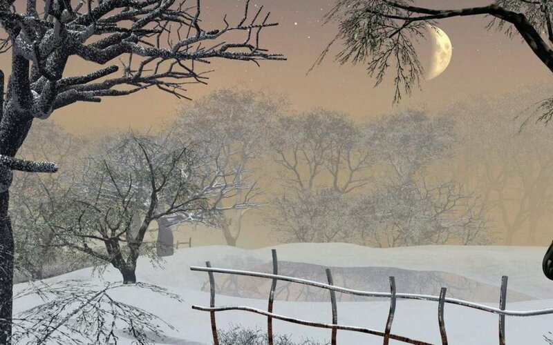 Snow-covered Trees at Night — White, Serene, Digital Art, Moon