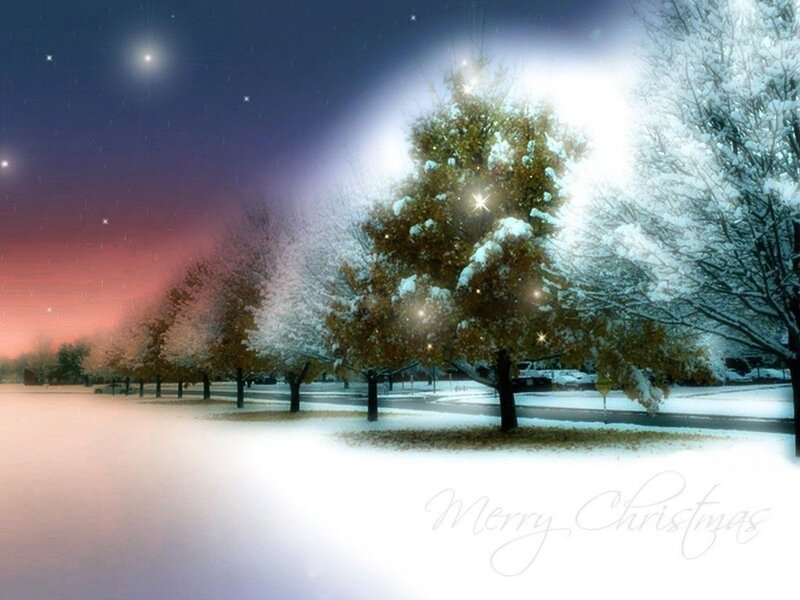 Snow-covered Trees at Night — White, Serene, Digital Art