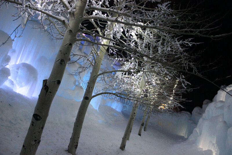 Snow-covered Trees at Night — White, Serene, Photograph, Ice Structures