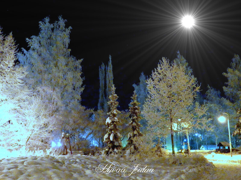 Snow-covered Trees at Night — White, Serene, Photograph, Moon, Streetlight