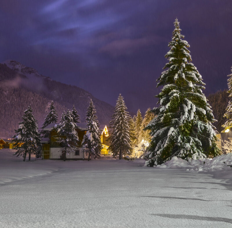 Snow-covered Trees at Night — White, Serene, Photograph, Mountains